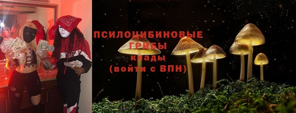 крисы Абдулино