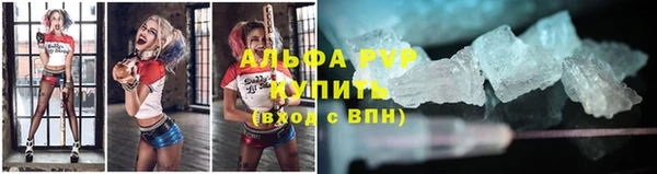 стаф Абаза
