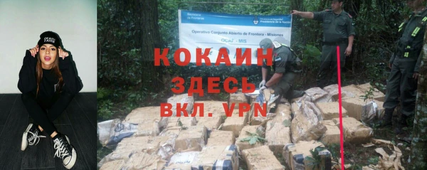стаф Абаза